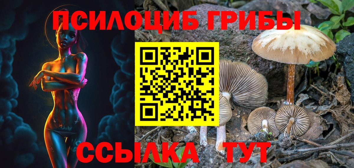Галлюциногенные грибы Cubensis Чусовой