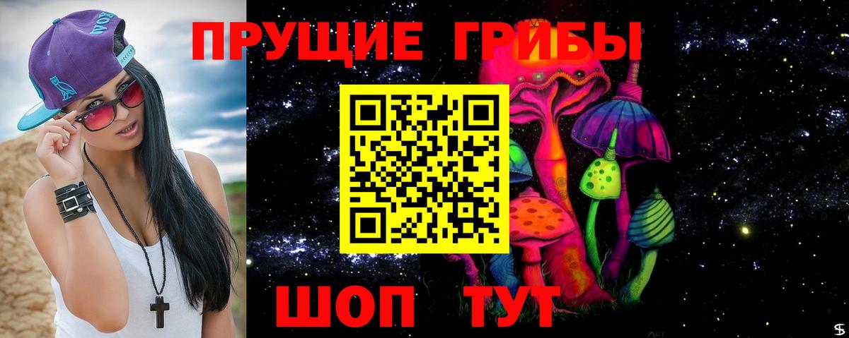 Чусовой  Псилоцибиновые грибы Psilocybe  Вход с VPN 
